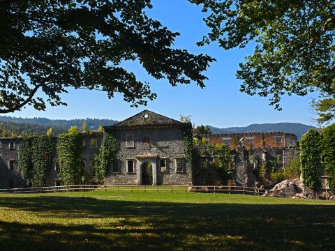 Foto: Vid Pogacnik, CC BY-SA 4.0, prek Wikimedia Commons.