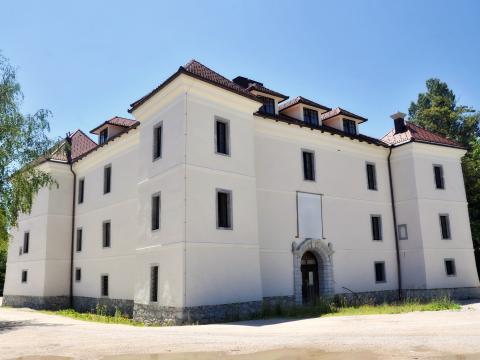 Foto: Matic Stojs Lomovsek, Shutterstock (uporabljeno z licenco).