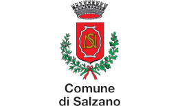 Comune di Salzano logo